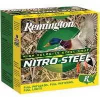 10 Gauge 25 Rounds Ammunition Remington 3 1/2" oz Steel #2