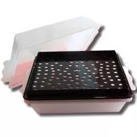 11 Inch X13 Inch Plastic Batter Box