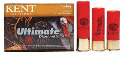 20 Gauge 10 Rounds Ammunition Kent Cartridges 3" 1 1/4 oz Lead #5