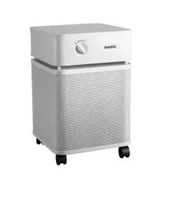 Austin Air Standard Unit (Bedroom Machine)