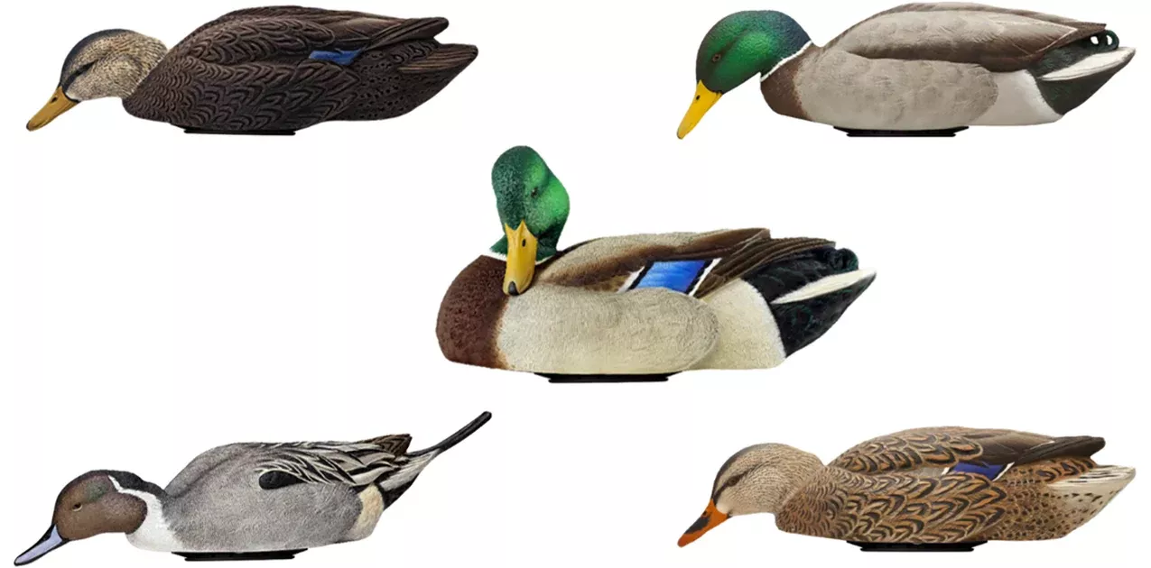Avian X AVX-PSW-MDLH Power SwimmerMallards Multi-Color