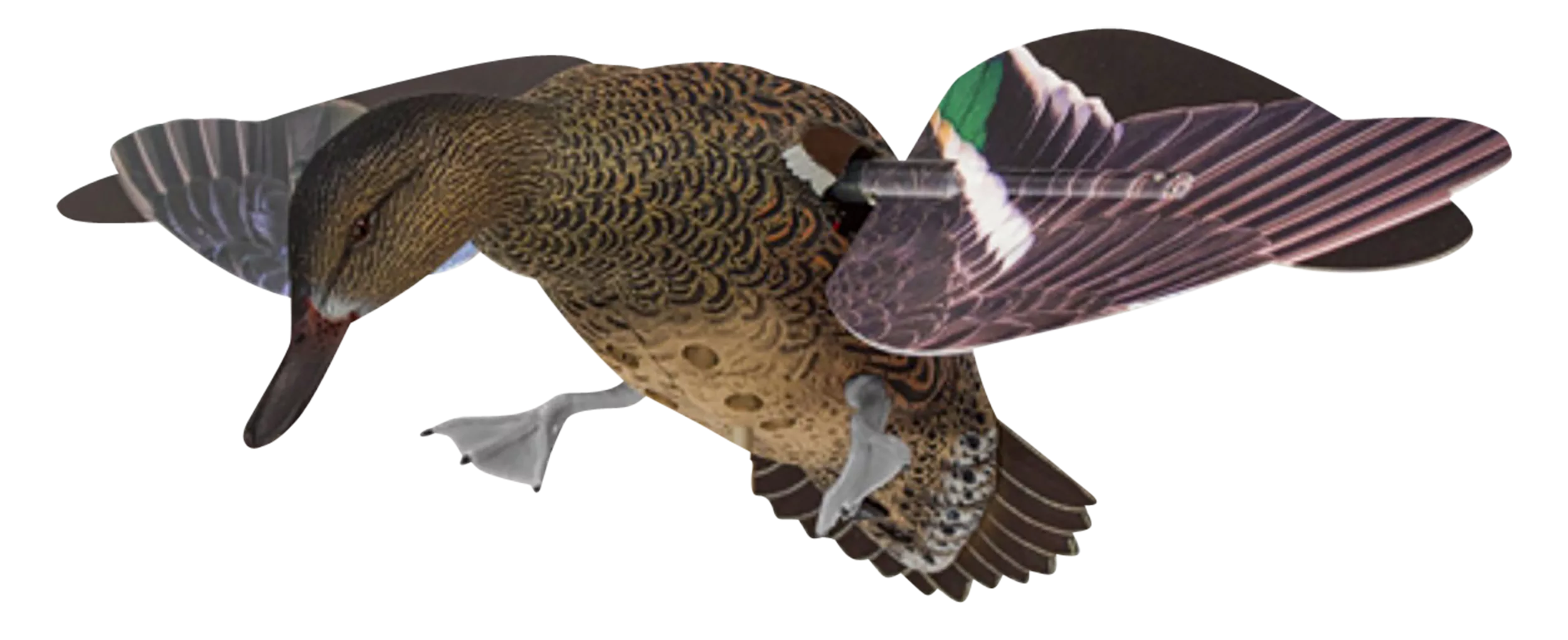 Avian X AVXPFLHT PowerFlight Hen Green-Winged Teal spinning wing decoy