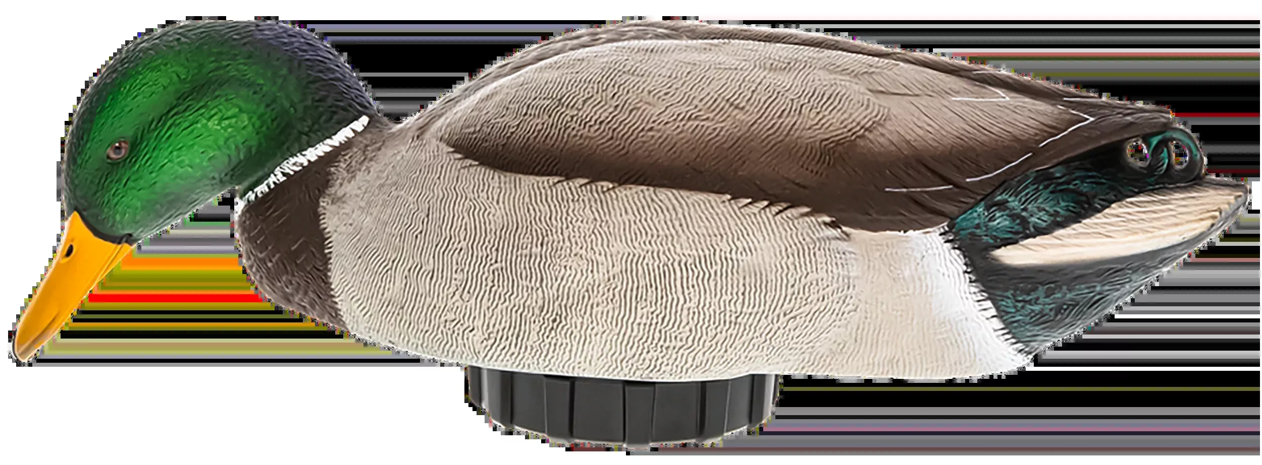 AVIAN X (GSM) Power Shaker Mallard Drake Surface Feeder Motion Decoy, Foam-Filled, 10-hr Runtime AVXPSHMDSF