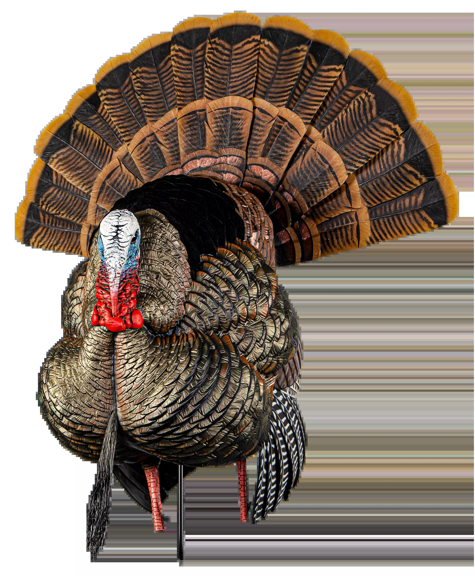 Avian X Heavy-Duty Realism Strutter Turkey Decoy with Interchangeable Heads AVXAVX8108