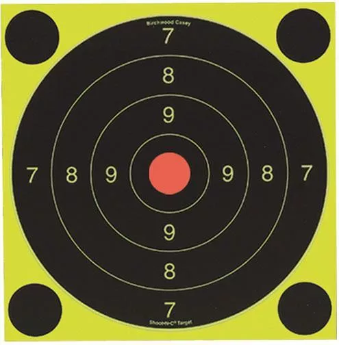 Birchwood Casey Shoot-N-C International Target