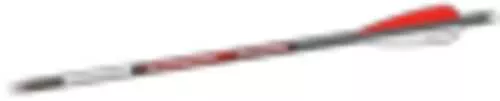 Bloodsport Witness Crossbow Bolt 20" 300 Spine 6/Pk