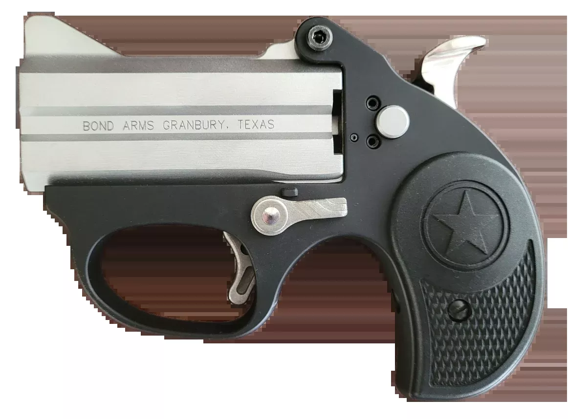 Bond Arms Stinger 380 ACP 3" 2rd Break-Action Pistol - Matte Stainless Barrel/Black Anodized Frame