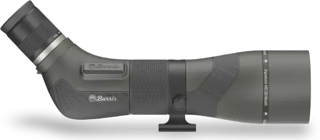 Burris 300103 Signature HDAngled Body 20-60x85mm Gray/Green