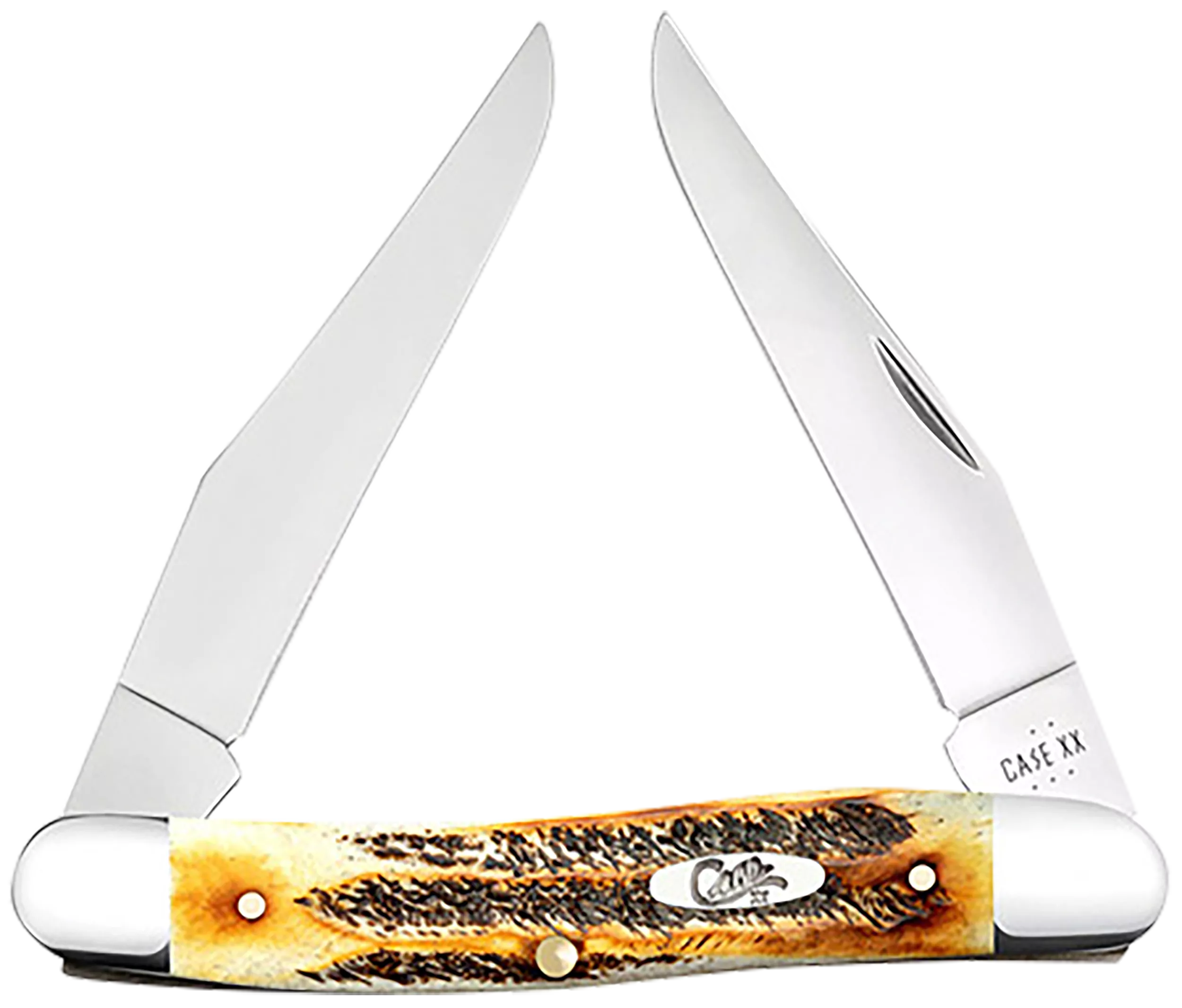 Case 65346 Muskrat2.90" Folding Clip Point Plain Polished Tru-Sharp SS Blade, Burnt Dark Amber 6.5 BoneStag Handle
