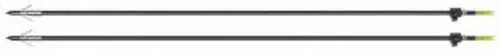 Centerpoint Bowfishing Arrows 2 Pack