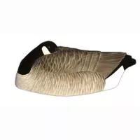 Dakota Decoyspainted One Piece Canada Sleeper Shell Decoys, 12- Pack