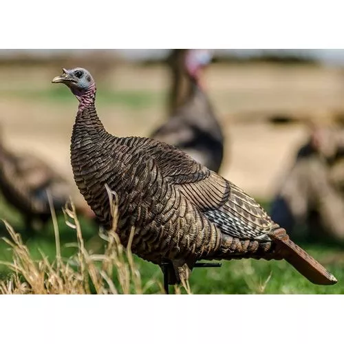 Deception Decoy's Miss Priss Turkey Decoy