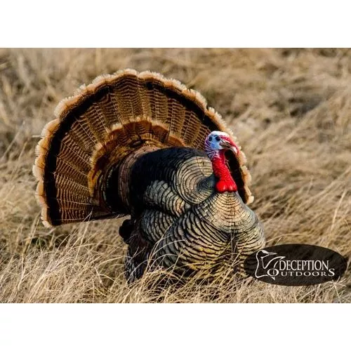 Deception Decoy's Strutting Tom Turkey Decoy