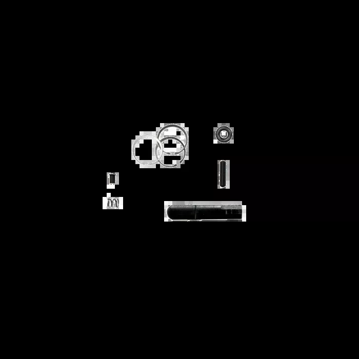 DoubleStar AR Bolt Rebuild Kit