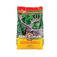 Evolved 5 Card Draw 10 Lb Bag
