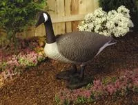 Flambeau 5994lo Standing Canada Goose, 1- Pack