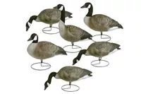 Flambeau Field Pack Canada Goose Decoy 6 Pk.