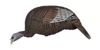 Flextone Thunder Chick Feeder Decoy 3 D Rubber Life Size Realistic Female Turkey