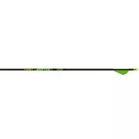 Gold Tip Hunter Xt Arrows 340 Raptor Vanes 6 Pk.