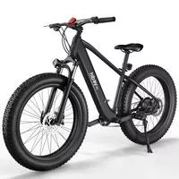 Hiboy P6 Fat Tire Electric Bike 2024