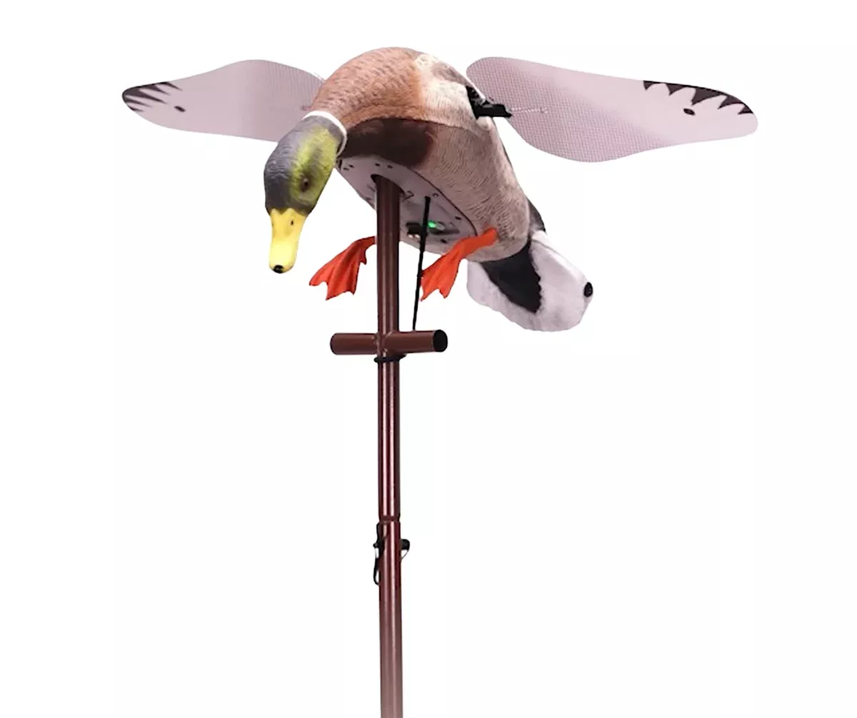 Higdon Outdoors 55052 Flasher ProMallard Drake Species Multi-Color