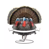 Higdon Outdoors Trustrutter Xs Motion Turkey 63175 Decoy