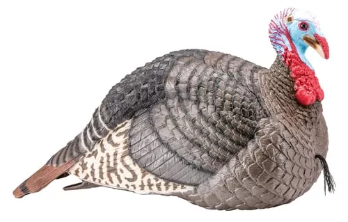 Hs Strut 100003 Strut- Lite Jake Wild Turkey Species Multi Color Synthetic