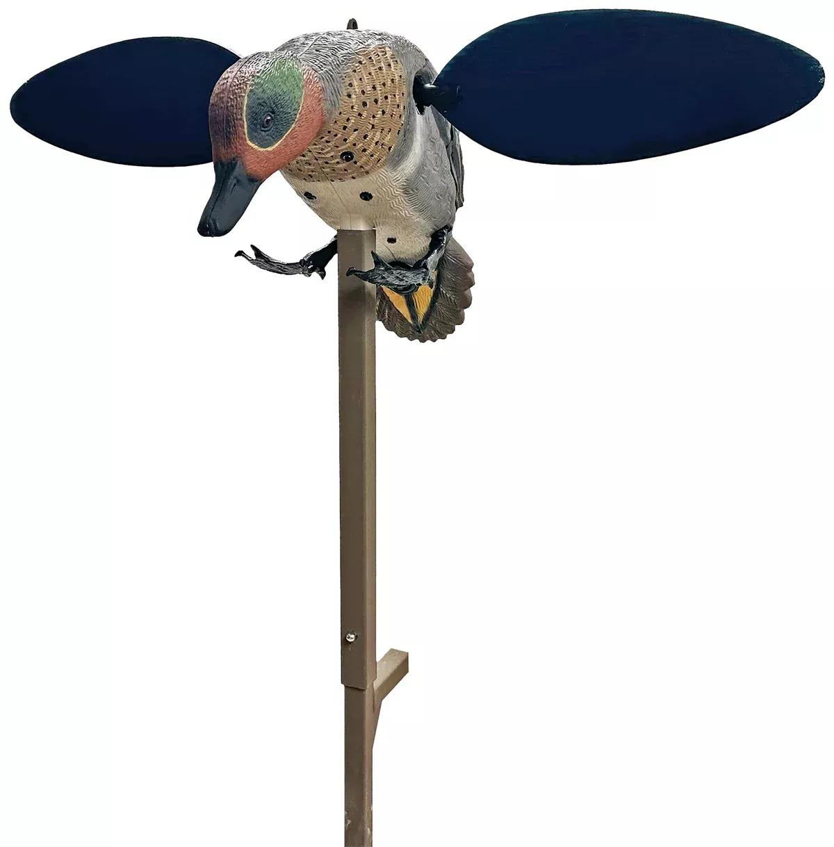 Mojo Outdoors HW2555Green Winged Teal Teal Species