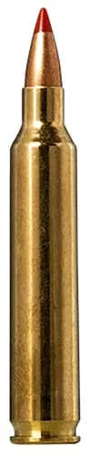 NORMA TIPSTRIKE 204RUG 40GR V-MAX 20/10