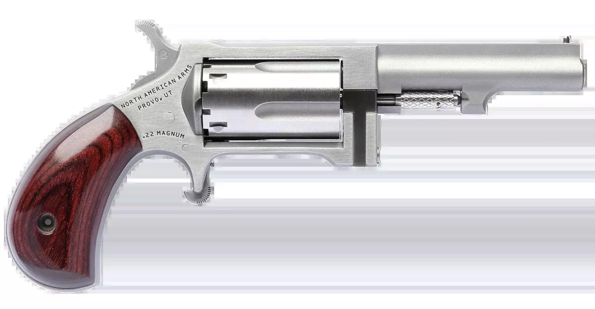North American Arms SW250 Sidewinder 22 WMR 2.5" 5-Shot SAO Revolver