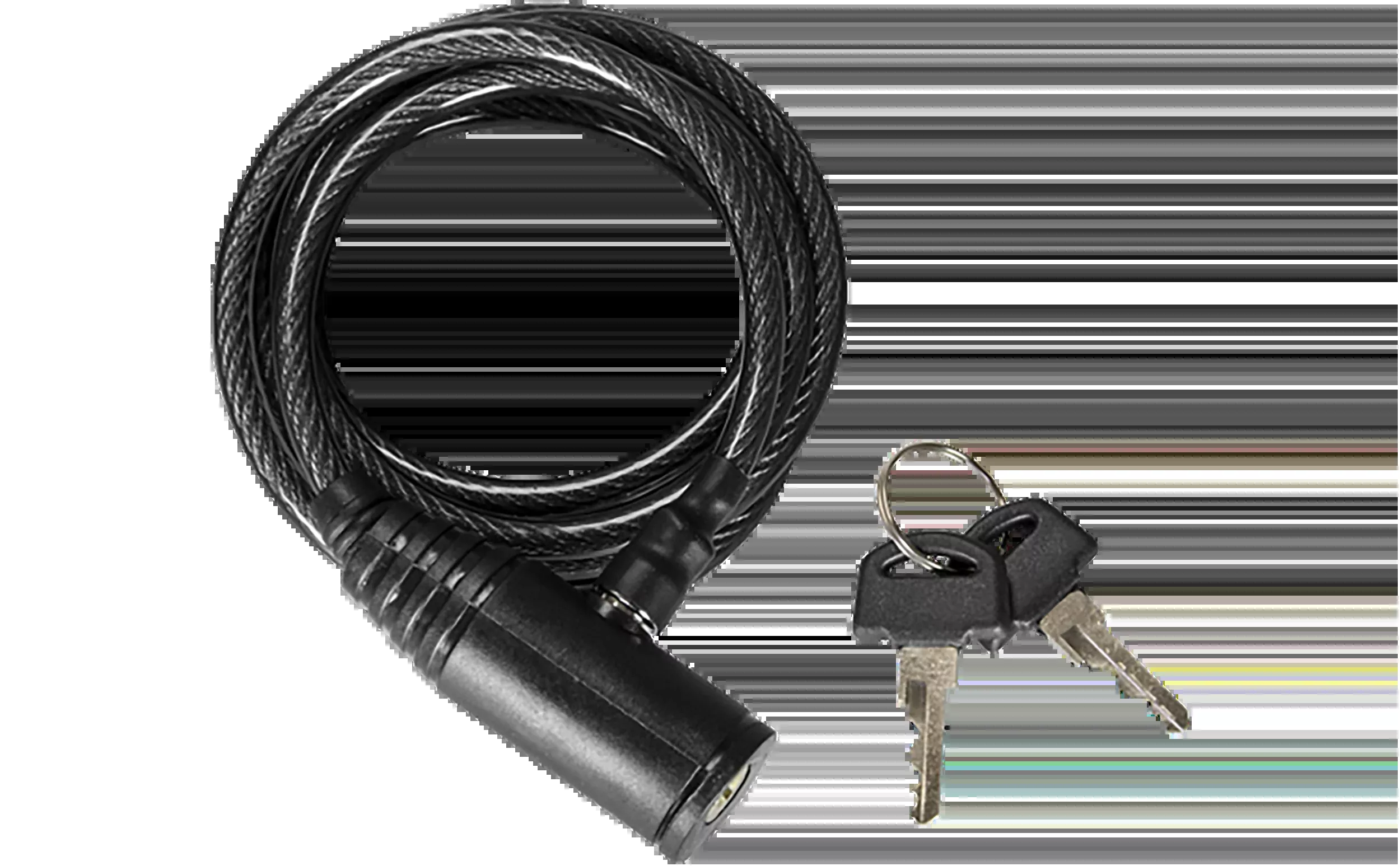 Spypoint Cable Lock for Trail Cameras, 6-Foot Black Security Cable with Keys – 05770