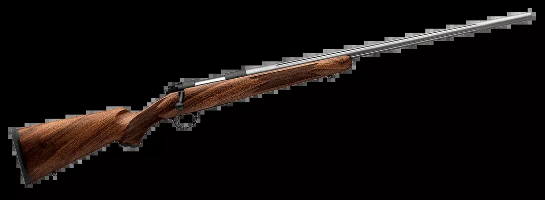 VARMINT