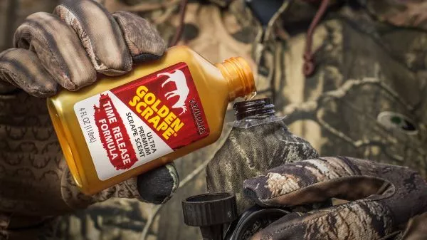 WILDLIFE RES GOLDN SCRAPE W/SRT 4OZ